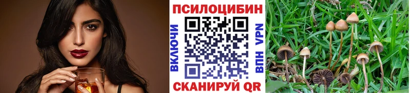 маркетплейс телеграм  Алексин  Галлюциногенные грибы GOLDEN TEACHER 